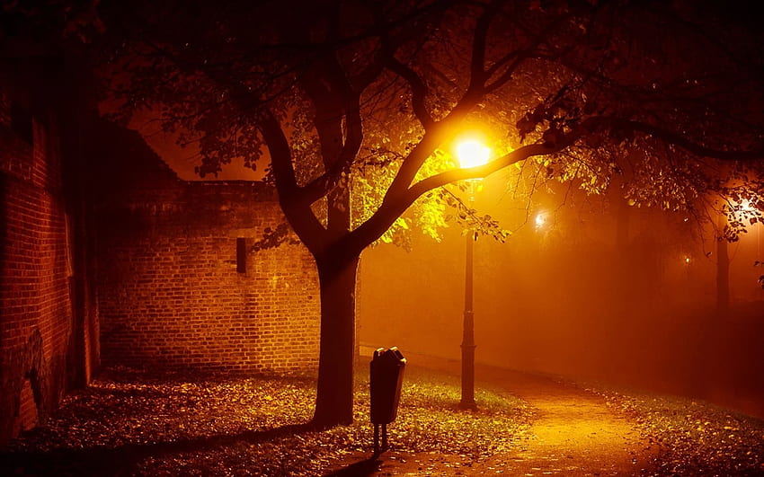 Landscapes Night Lights Mood Autumn Fall Seasonal Fog Mist Places Houses Buildings Architecture Trees Lamps Lamp Posts graphy ., Autumn Evening HD wallpaper