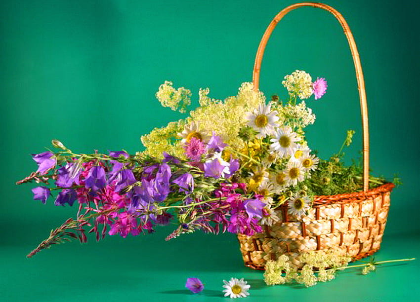 Basket of spring, basket, purple, pink, white, yellow, flowers, green background HD wallpaper