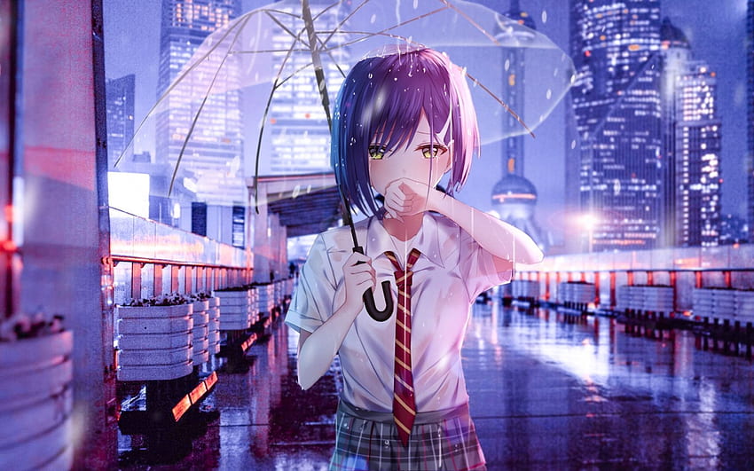 Rain , anime art, cry, anime girl, umbrella, transparent umbrella • For You For & Mobile, Rainy City Anime HD wallpaper