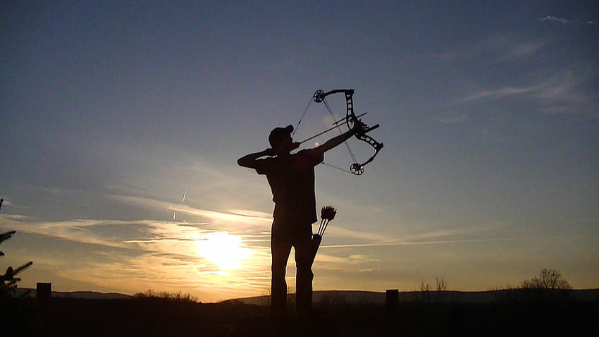 Hoyt Bow Hunting, Compound Bow Arrow HD wallpaper
