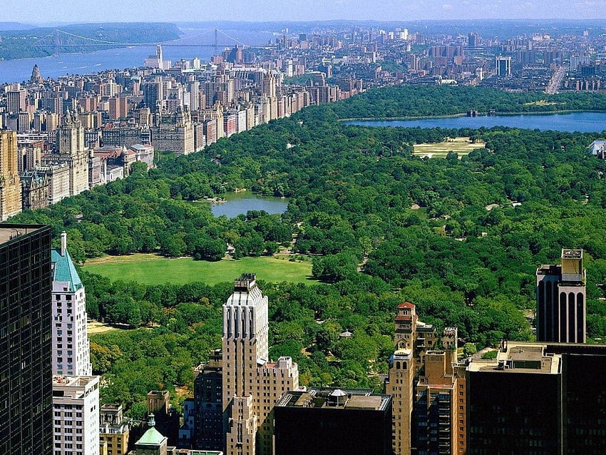 Central Park New York computer [] for your , Mobile & Tablet. Explore Work Appropriate . for Work, Office , for Work, New York office HD wallpaper
