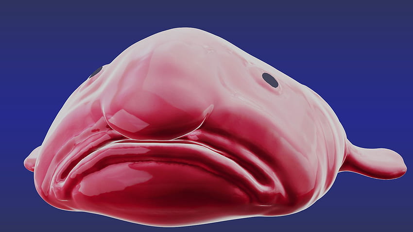 ArtStation - Sculp Styczeń Dzień 1 2019 Blob Fish, Brian Pratt, Blobfish Tapeta HD