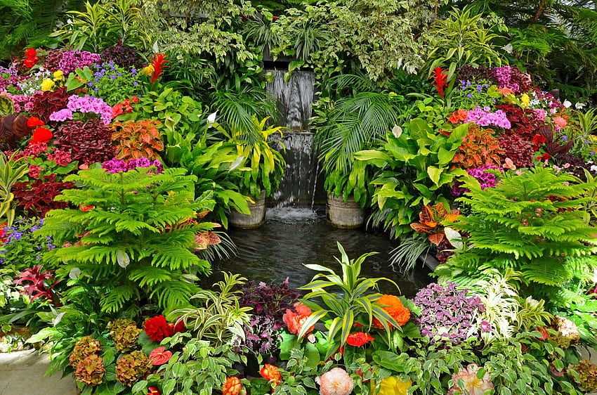 Tropical garden, plants, tropical, garden, beautiful, spring, park, pretty, waterfall, cascades, flowers HD wallpaper