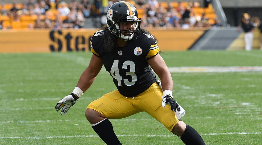 Troy Polamalu For HD wallpaper