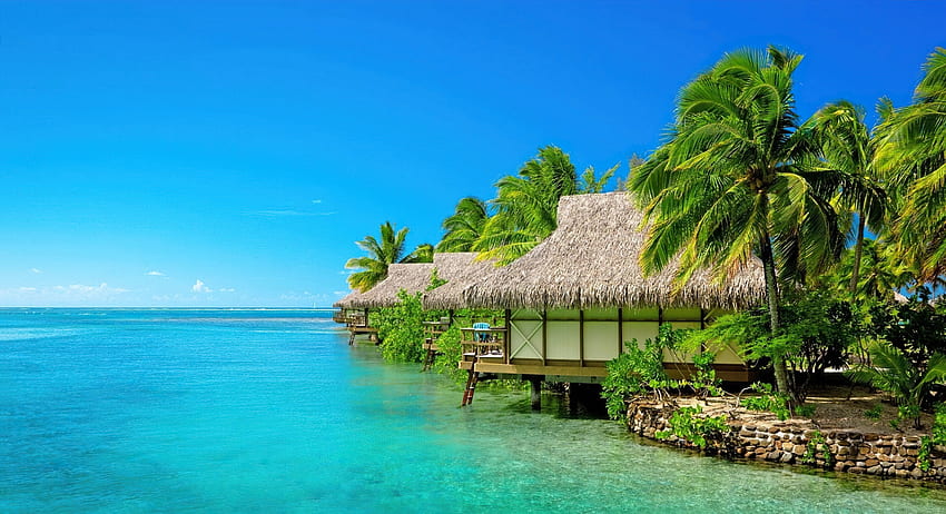 Descanso tropical, palmeiras, mar, trópicos, paraíso, lindo, relaxar, praia, férias, verão, cabanas, descanso, céu papel de parede HD