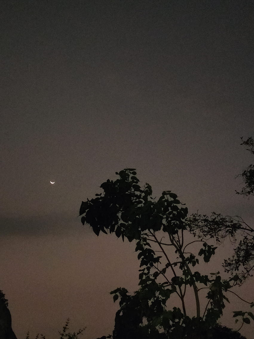 Moon in Ramadan, atmosphere, sky, nature, night HD phone wallpaper