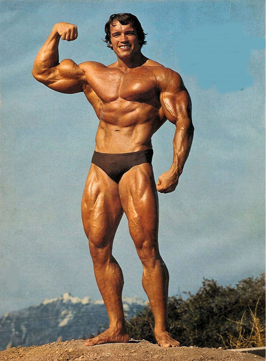 Arnold Schwarzenegger  Greatest Physiques