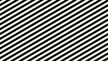132700 Black And White Lines Stock Photos Pictures  RoyaltyFree Images   iStock  Black and white lines background Black and white lines pattern  Black and white lines geometric pattern