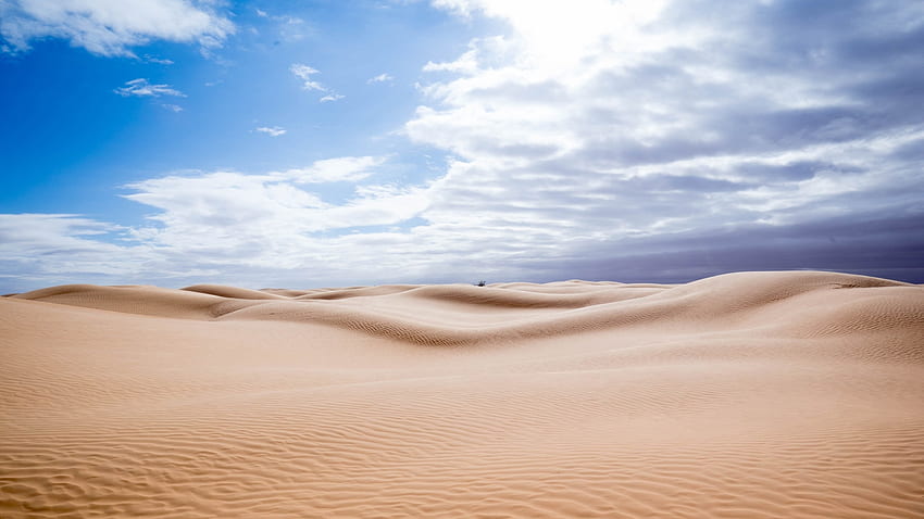 Journée ensoleillée, désert, paysage Fond d'écran HD