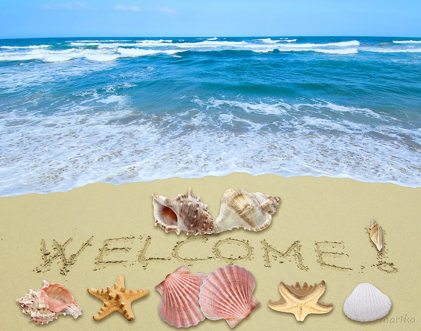 Welcome Summer!, sea, starfish, sunshine, summer, shells, sand, welcome, beach HD wallpaper
