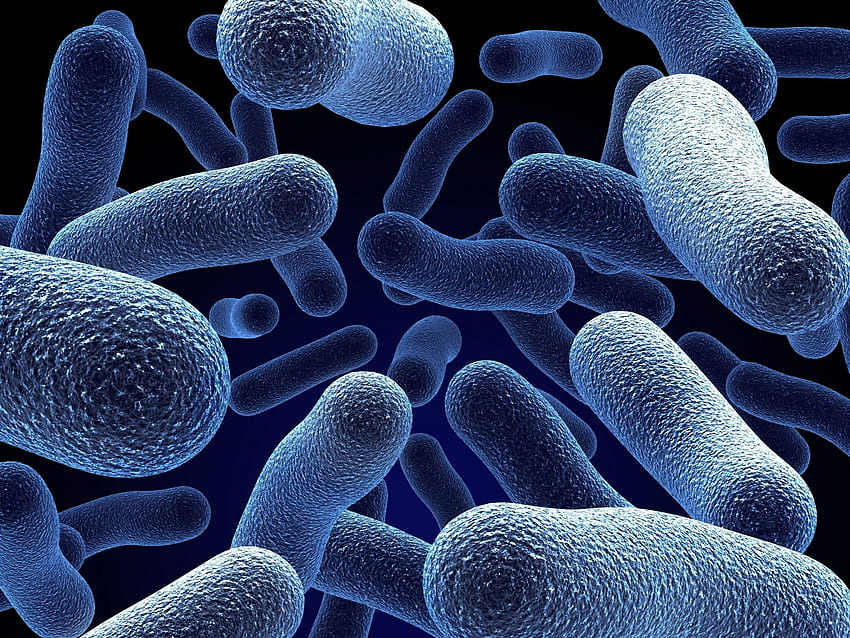 bakteri / dan Latar Belakang Seluler, Mikroorganisme Wallpaper HD