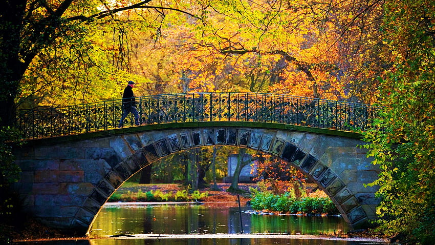 สวนสาธารณะในฮันโนเวอร์ เยอรมนี ใบไม้ ฤดูใบไม้ร่วง ฤดูใบไม้ร่วง ต้นไม้ สี น้ำ สะท้อน แม่น้ำ วอลล์เปเปอร์ HD