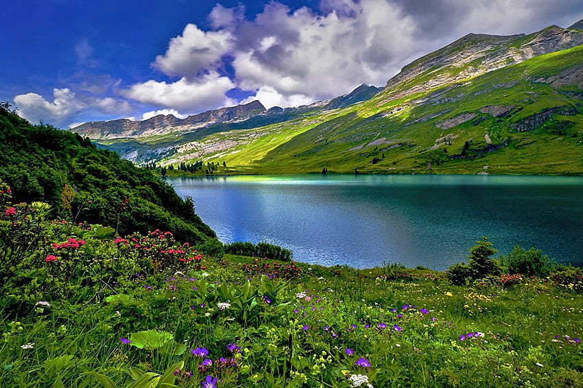 เทือกเขาแอลป์สวิส ท้องฟ้า สวิส สวยงาม ฤดูใบไม้ผลิ ภูเขา ทะเลสาบ เทือกเขาแอลป์ หญ้า ดอกไม้ป่า ฤดูร้อน วอลล์เปเปอร์ HD