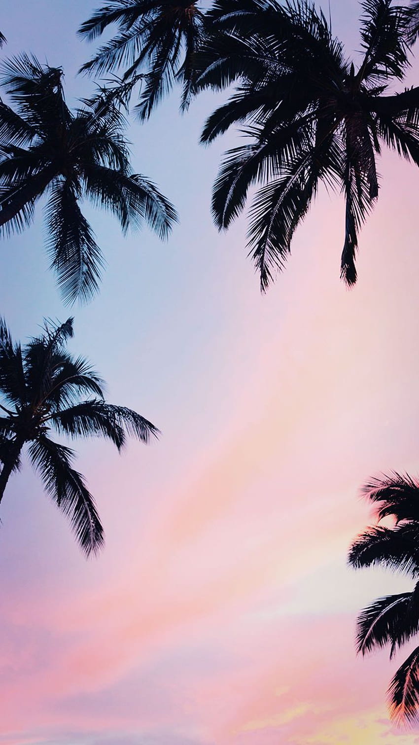 Summer Sunset iPhone Untuk Membunuh Depresi Musim Dingin Itu. Preppy, Palm Tree Sunset wallpaper ponsel HD