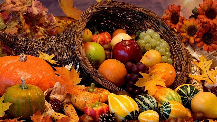 Fall Harvest background HD wallpaper