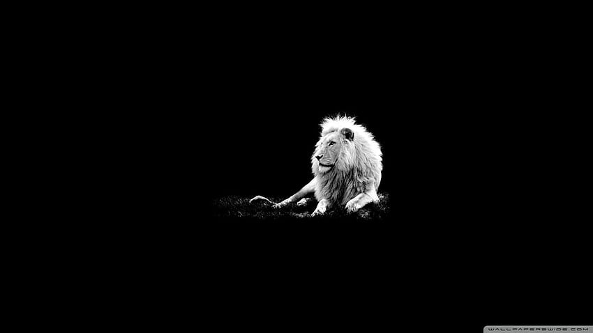 Page 8 | the black lions HD wallpapers | Pxfuel