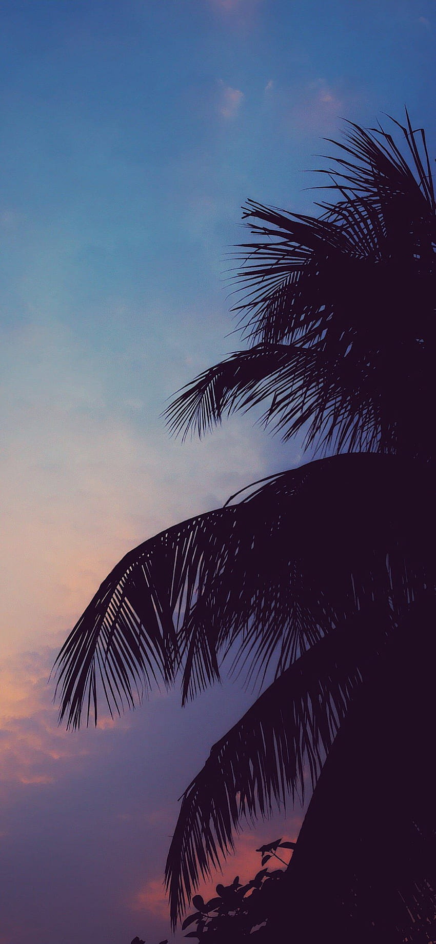 Chill vibes. Chill , Scenery , Sky aesthetic, Chill Beach HD phone ...