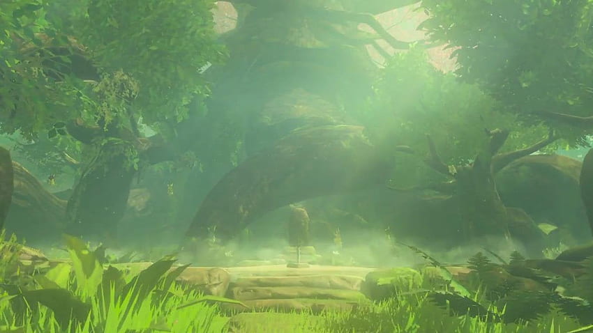 Meisterschwert vor dem Großen Deku-Baum und umgeben von Koroks. Timeline-Tipp?: Zelda HD-Hintergrundbild
