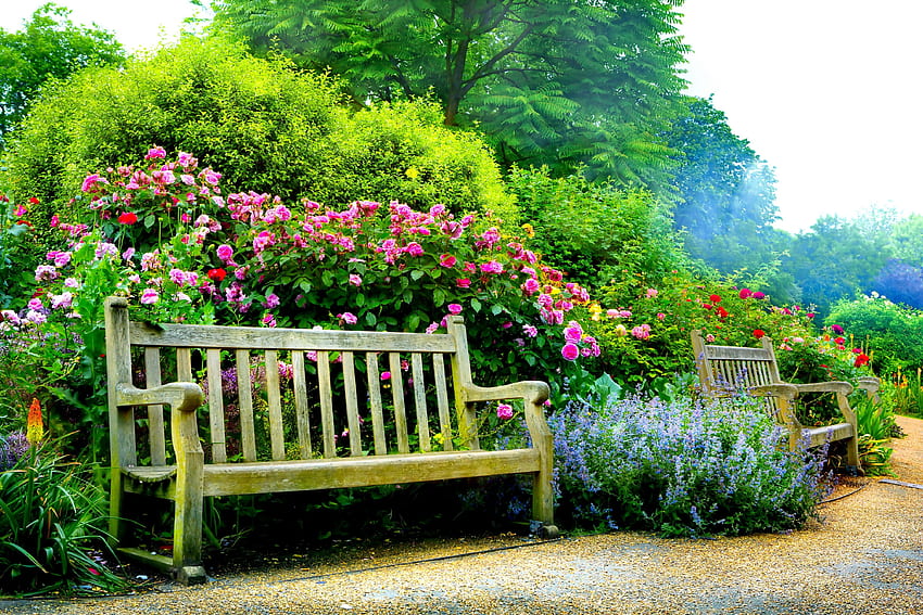 Benches in Spring Park Ultra . Background HD wallpaper | Pxfuel