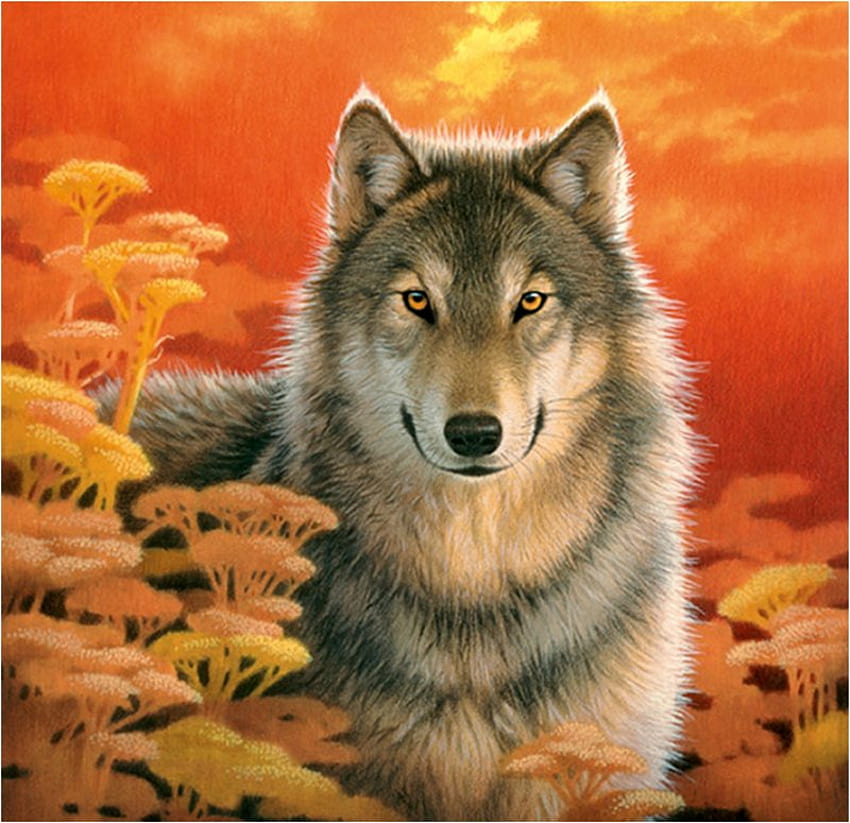 늑대, 동물, 야생 동물, , 예술, 가을 HD 월페이퍼