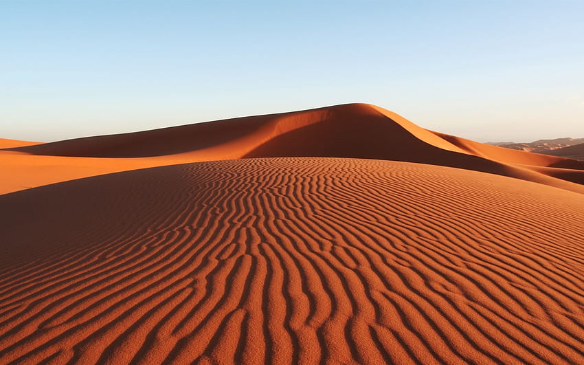 ブラジル砂漠。 砂漠の砂丘 すばらしい砂漠の風景 高画質の壁紙