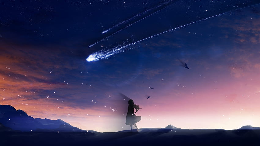 Shooting star, anime girl, silhouette, art HD wallpaper