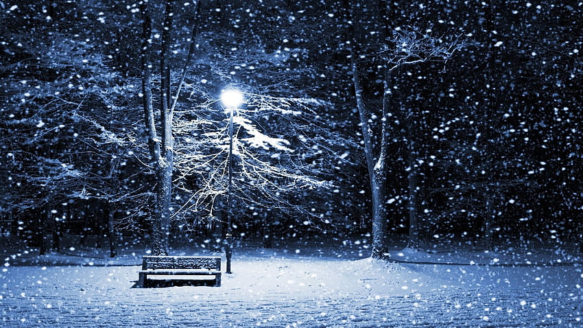 Nature Landscape Winter Snow Trees Forest Snowing Bench Night Lamp Street Light Empty - Resolution: HD wallpaper