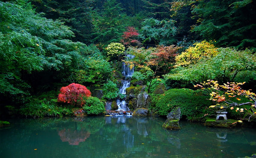 Waterfall In The Garden, Seattle, ogród japoński, kolory, piękny, park, klon, zielony, wodospad, drzewa, woda, staw, liście Tapeta HD