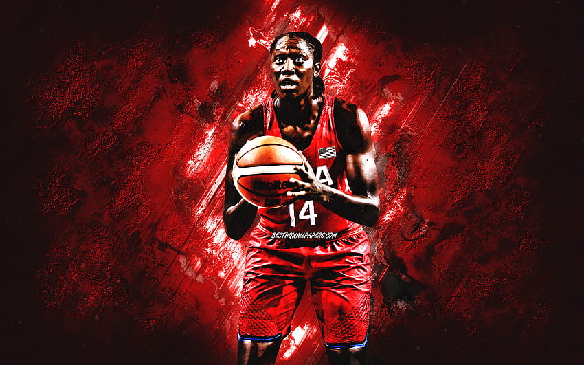 Tina Charles, tim bola basket nasional Amerika Serikat, latar belakang batu merah, Pemain Bola Basket Amerika, potret, AS, bola basket Wallpaper HD