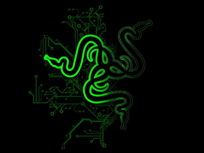 HD wallpaper: Razer, PC gaming, colorful, logo, Razer Inc., abstract, multi  colored