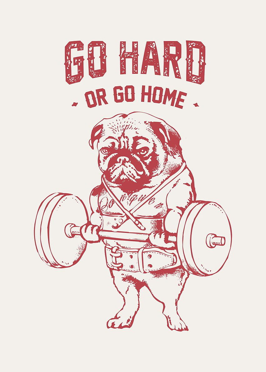 GO HARD OR HOME PUG' Плакат HD тапет за телефон