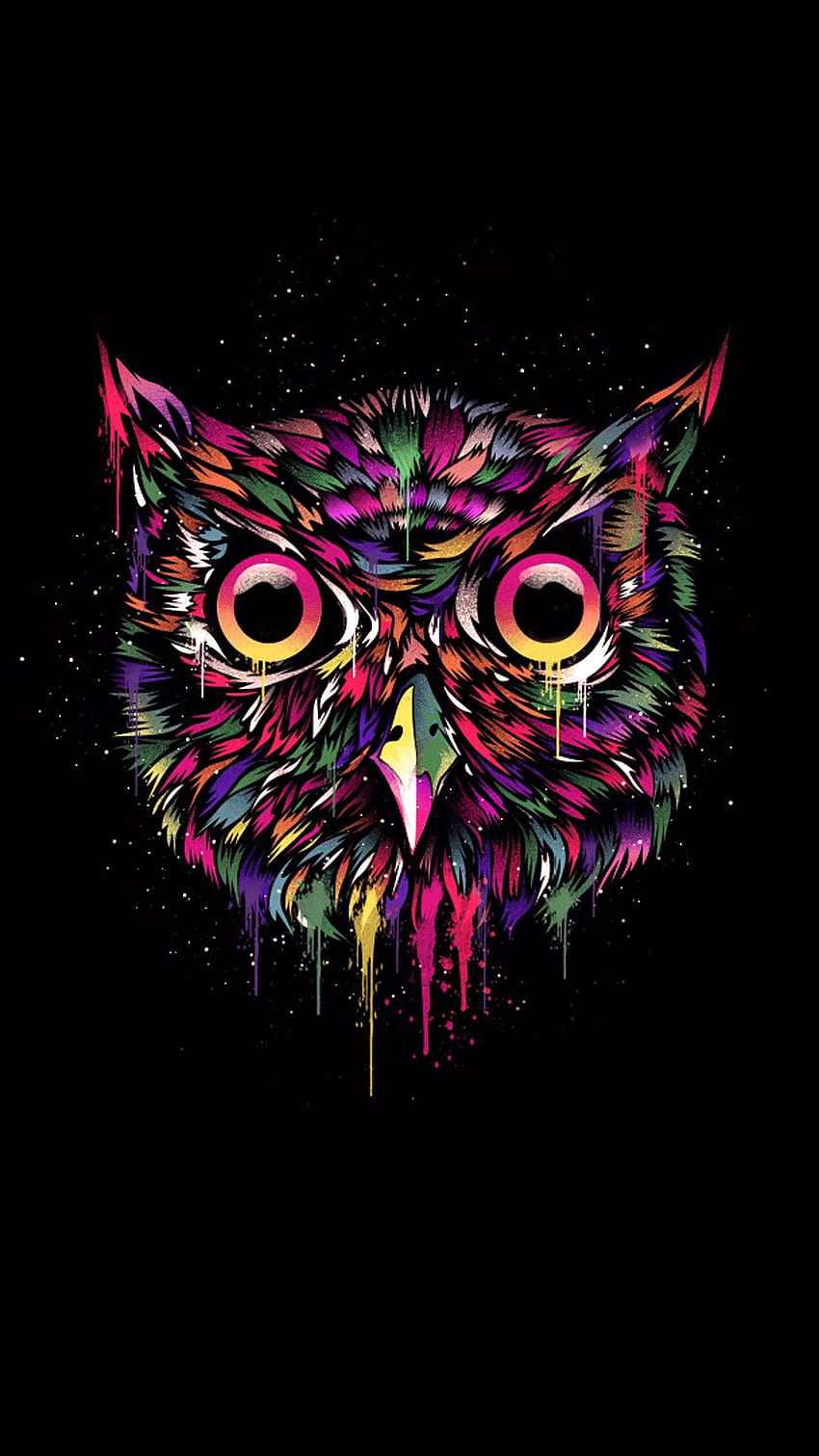 Wallpaper owl, bird, minimalism, green, owl images for desktop, section  минимализм - download