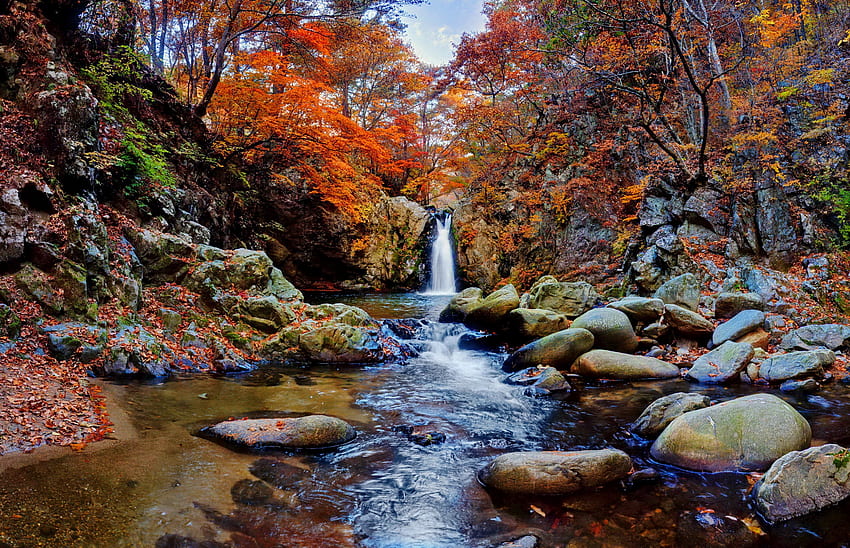 Wodospad w jesiennym lesie, upadek, wodospad, jesień, las, skały, liście, kamienie, liście, piękne, drzewa Tapeta HD