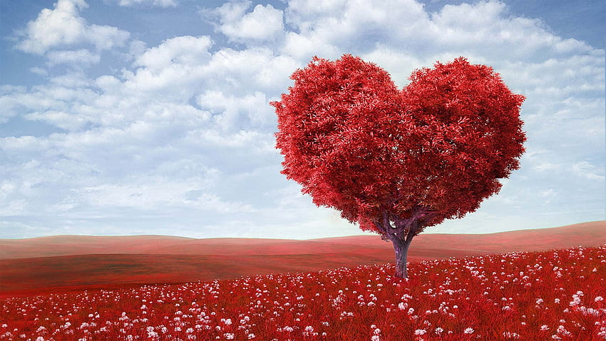 Cinta yang Indah dan Romantis - Blogenium Wallpaper HD