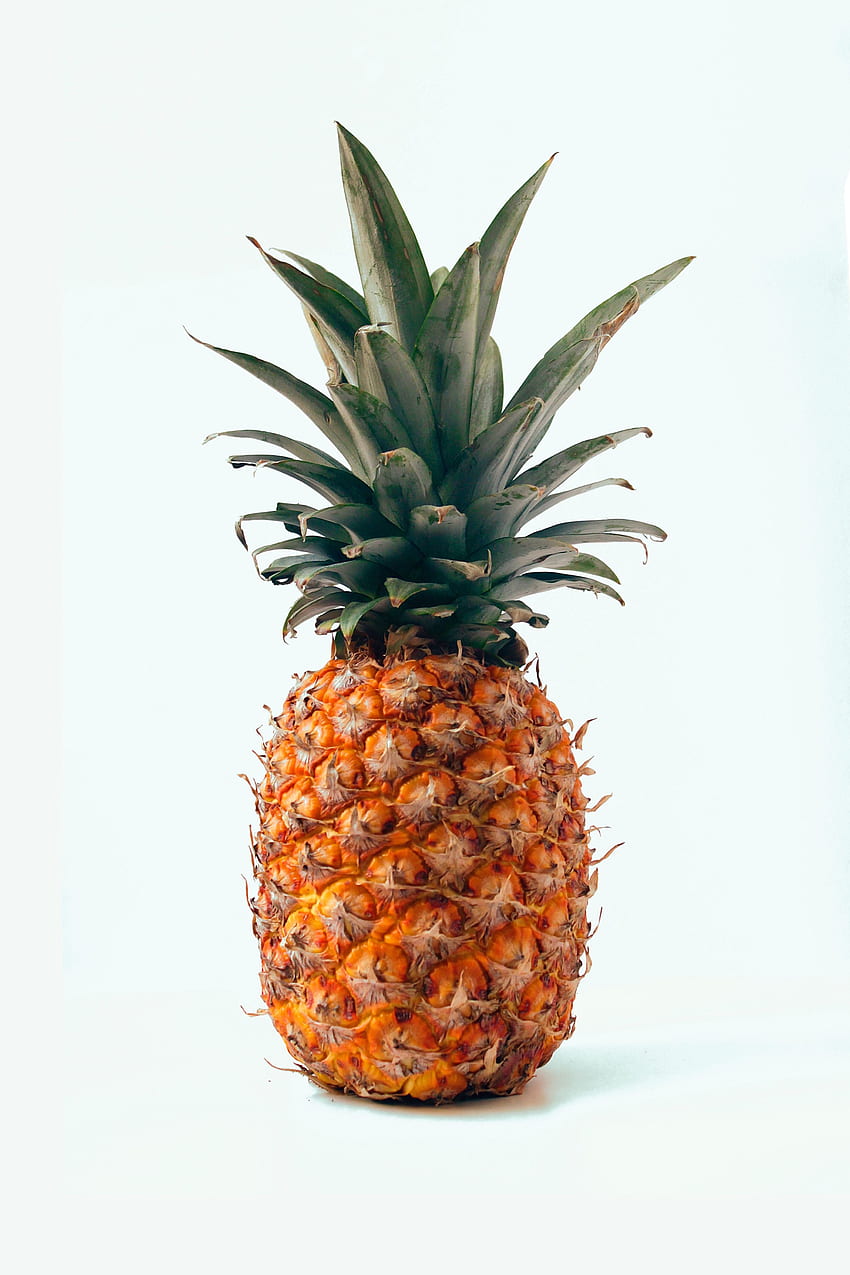 Food, Minimalism, Fruit, Tropical, Pineapple HD phone wallpaper