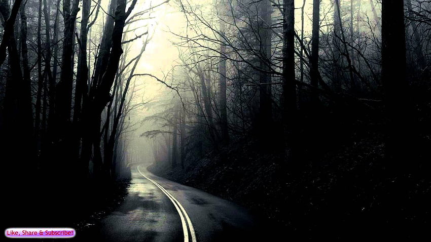 Creepy Forest Background, Dark Forest Road Large HD wallpaper