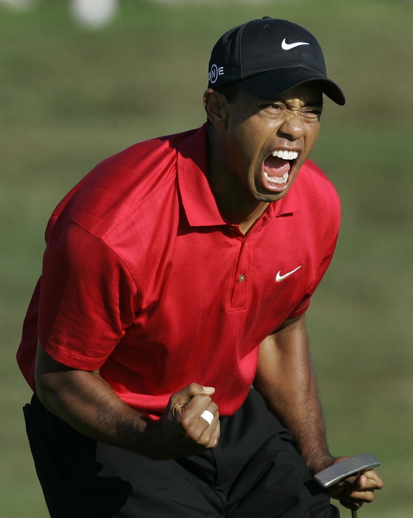 Tiger Woods Fist Pompe Gif - Tiger Woods - & Contexte Fond d'écran de téléphone HD