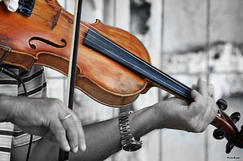 Page 20 | the violin HD wallpapers | Pxfuel