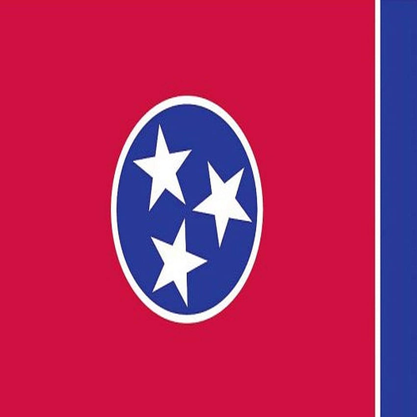 Bendera Lembah Forge Buatan Amerika 3' x 5' Nilon Bendera Negara Bagian Tennessee: Bendera Luar Ruangan: Teras, Rumput & Taman wallpaper ponsel HD