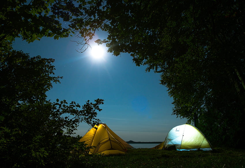 자연, 나무, 캠핑, 캠프장, 텐트 HD 월페이퍼