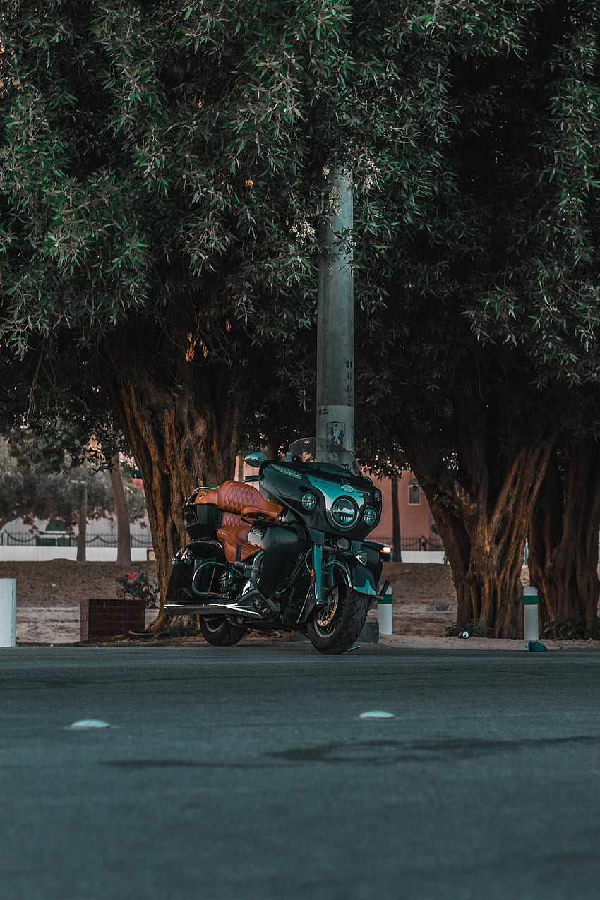 Trees, Motorcycles, Road, Motorcycle, Bike, Street HD phone wallpaper