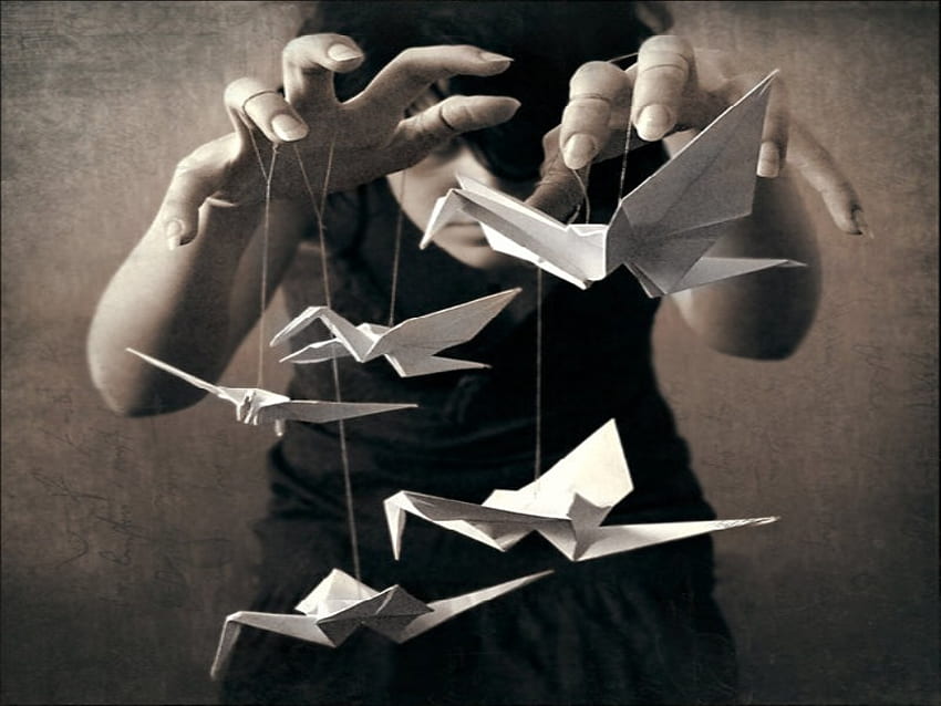 Paper Cranes, birds, cranes, graphy, art, paper folding, woman HD wallpaper