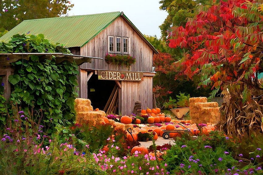 Ancient: Old Cider Vermont Autumn Usa House Pumpkins Fall Trees, Vermont Spring HD wallpaper