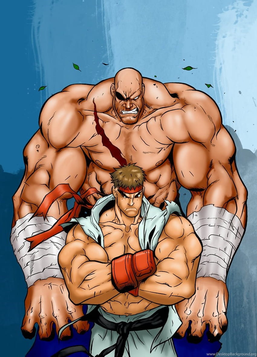 Ryu Vs Sagat Street Fighter II Background HD phone wallpaper