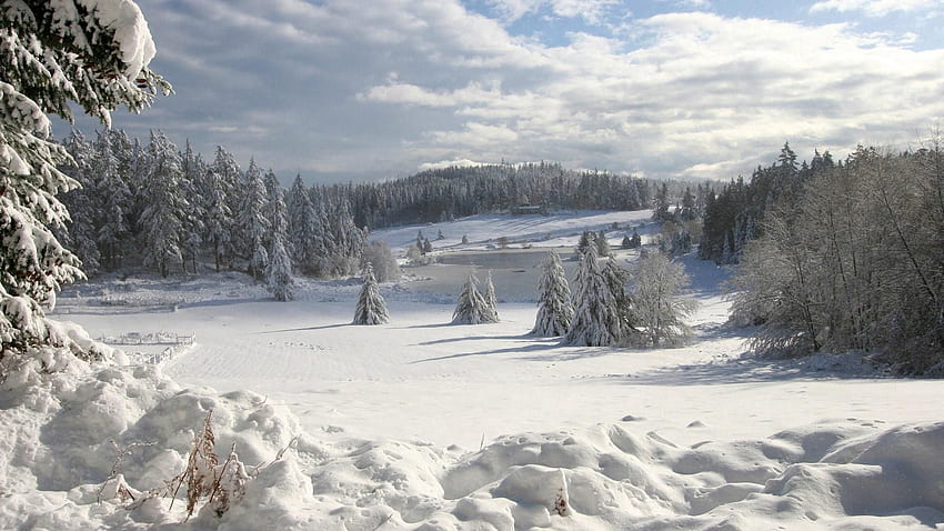 Зима, природа, небе, облаци, сняг, гора, поле, разхлабени, преспи, яде, корица, ронлив, халат, облекло HD тапет