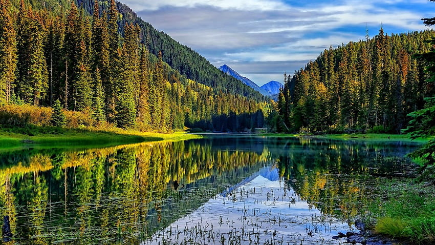 Duffey Lake Provincial Park, British Columbia, แคนาดา, แคนาดา, Serenity Forest, Duffey Lake, British Columbia, Provincial Park วอลล์เปเปอร์ HD