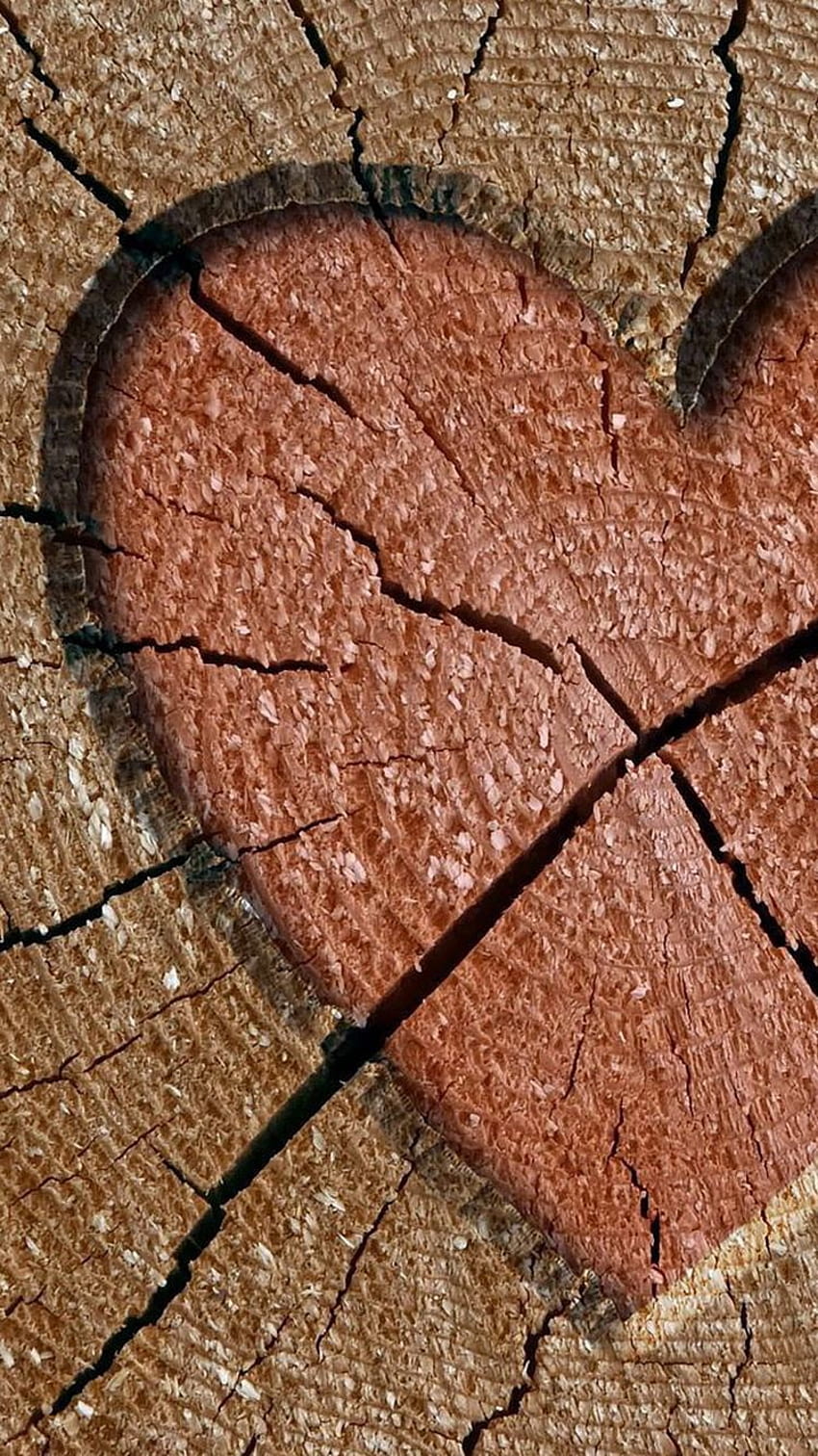 Heart Engraved In Wood Log iPhone 6 -, Leather 6 HD phone wallpaper