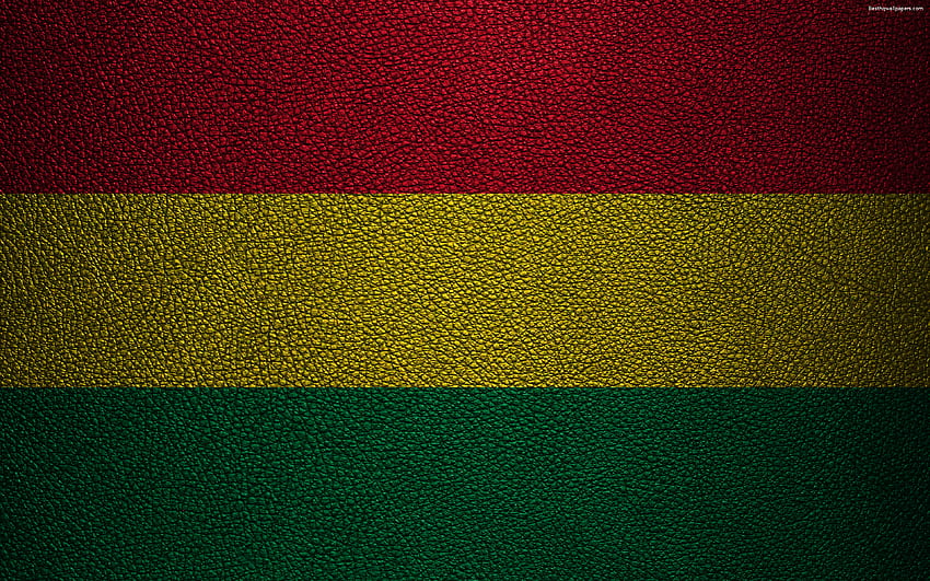 Flag of Bolivia, , leather texture, Bolivian flag, South America, Bolivia for with resolution . High Quality HD wallpaper