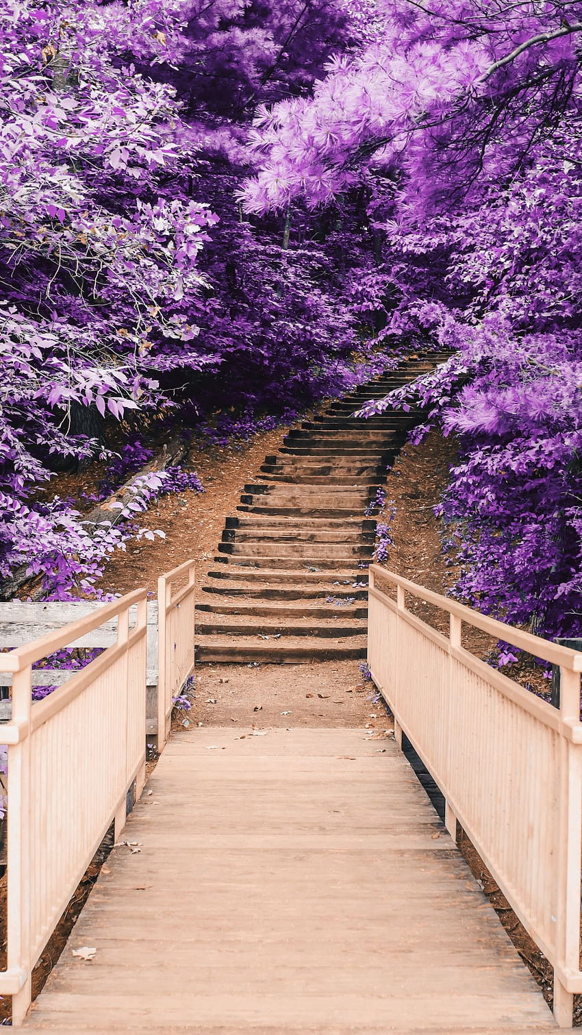 Okwitnięcie, park, drewniane schody,. Estetyka natury, drewna i kwiatów Tapeta na telefon HD