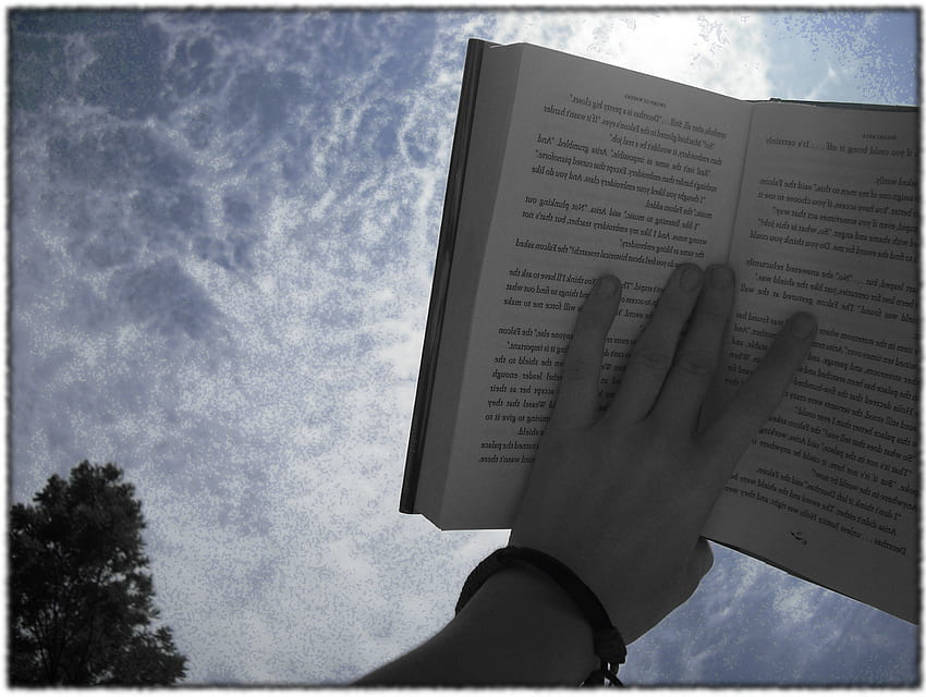 Czytanie, niebieski, zielony, miecz wód, ręka, drzewo, książki, chmury, niebo, słońce Tapeta HD